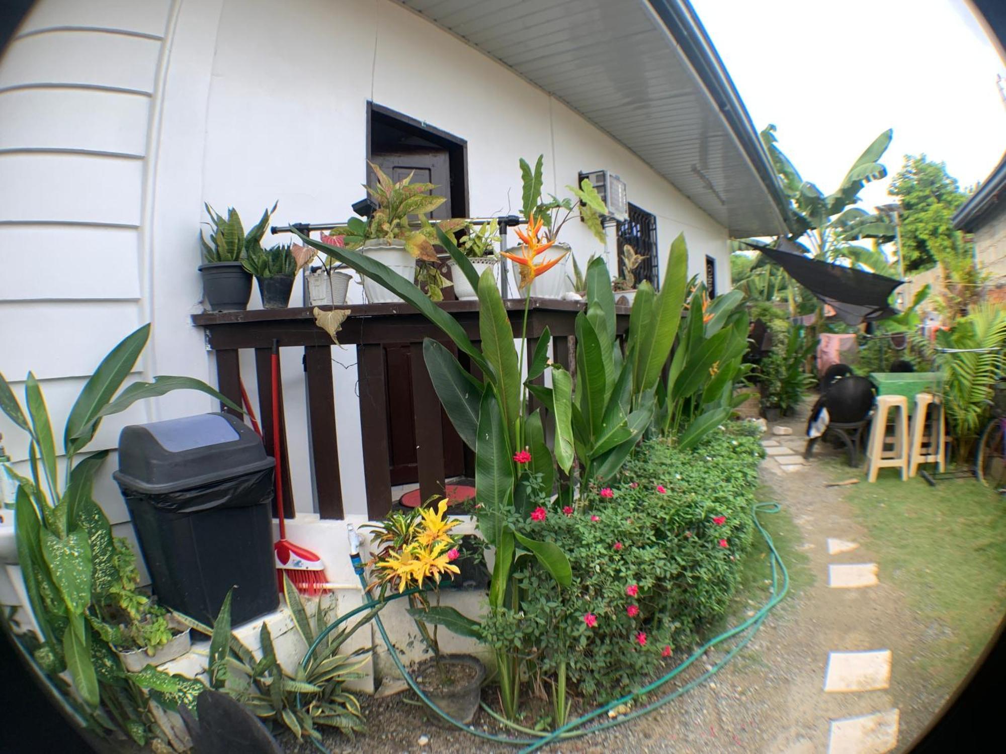 Jml Homestay General Luna  Ngoại thất bức ảnh