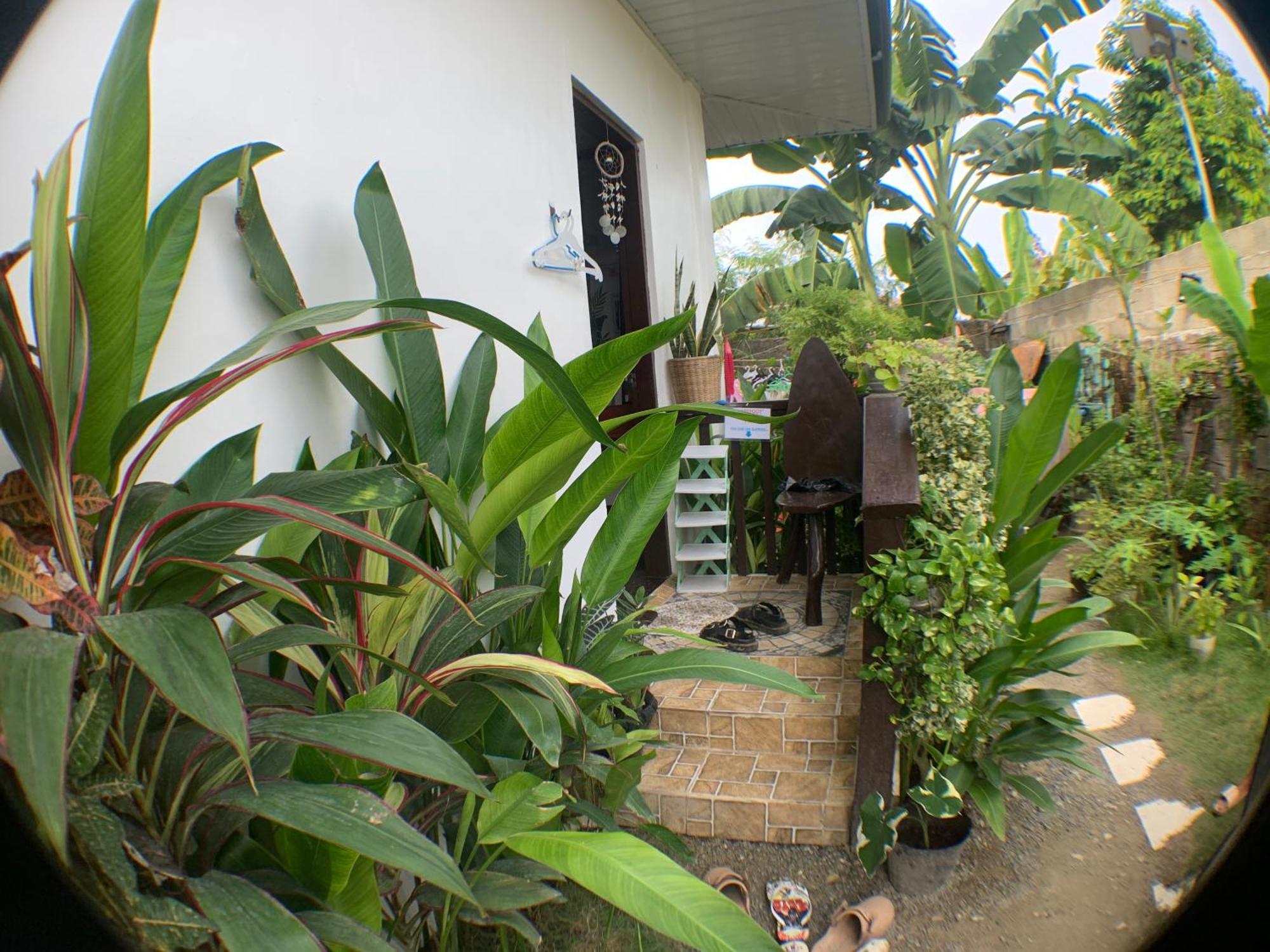 Jml Homestay General Luna  Ngoại thất bức ảnh